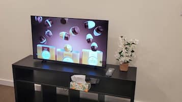 Un téléviseur à écran plat est posé sur un meuble noir servant de support pour les appareils électroniques. À côté, on aperçoit une boîte de mouchoirs et une petite plante en pot.