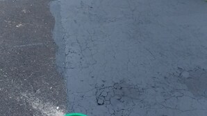 Une allée menant à une maison, avec un portail de garage, une maison à la façade en briques et un arbre.