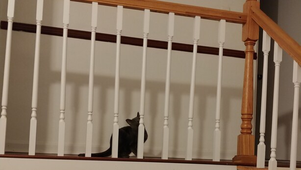 Un escalier avec des balustrades blanches et des rampes en bois.