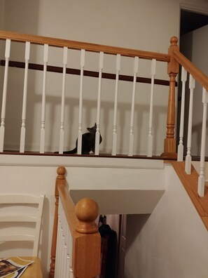 A staircase with white balusters and wooden handrails. - Perfect 1-bedroom house with AC in friendly Pittsburgh neighborhood (Pittsburgh)