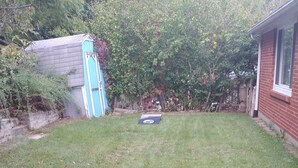 Un jardin avec une pelouse, un abri bleu et une maison en briques.
