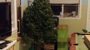 Une pièce avec une télévision, un sapin de Noël et un canapé.