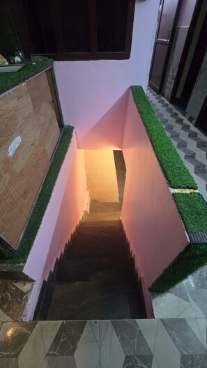 A staircase with artificial grass on the sides, leading to a dark interior. - S TAJ Home Stay Mali tall Nainital (Nainital)