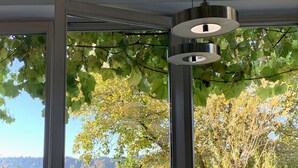 A room with large windows, a door, and a ceiling light fixture. - Far-reaching views of the Mangfall valley - Quiet house with sauna, hot tub & garden near Munich (Feldkirchen-Westerham)