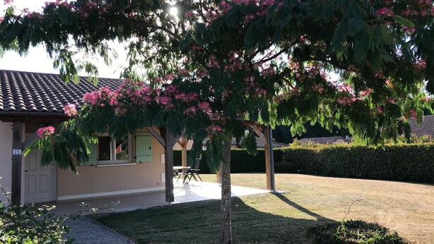 Un edificio residencial con techo de tejas, el número '25' visible, y un árbol con flores rosadas en primer plano.