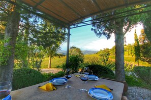 Mesa para comer al aire libre con copas de vino y platos, rodeada de árboles y vistas a un viñedo.
