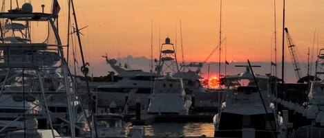 Marina