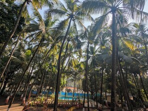 Miscellaneous - SANS RESORT (Alibag)
