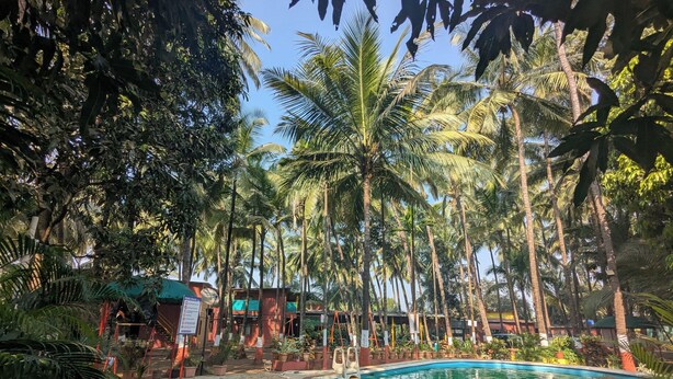 Kolam renang