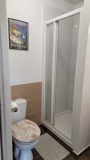 Shower, hair dryer, toilet paper - Studio 150 m from the beach terrace and private parking (Crozon)