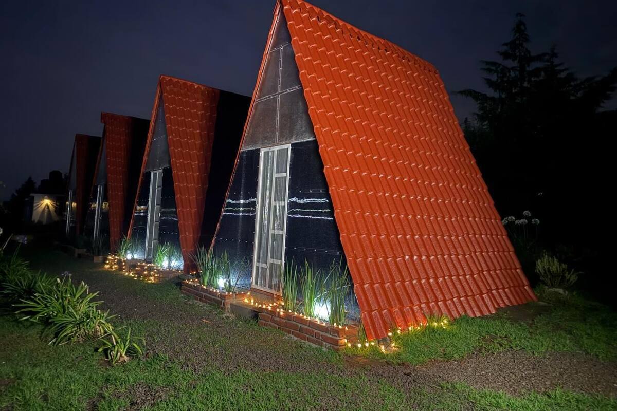 Una hilera de edificios de forma triangular con techos reflectantes y ventanas de vidrio, rodeados por un jardín bien iluminado.
