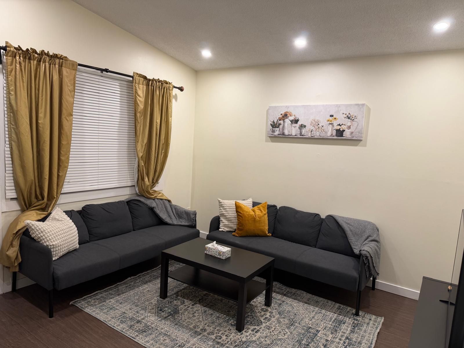 A living room with a dark-colored sofa, a coffee table, and a patterned rug.