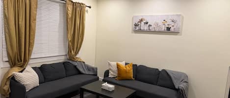 A living room with a dark-colored sofa, a coffee table, and a patterned rug.