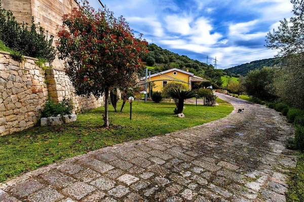 Autumn, Garden, Spring, Summer