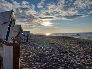A beach with sun loungers and a view of the ocean. - Comfortable vacation home on the dyke with terrace, garden and fireplace in Zingst - Am (Zingst)