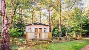 Una petita cabana de fusta amb un porxo, envoltada d'arbres.