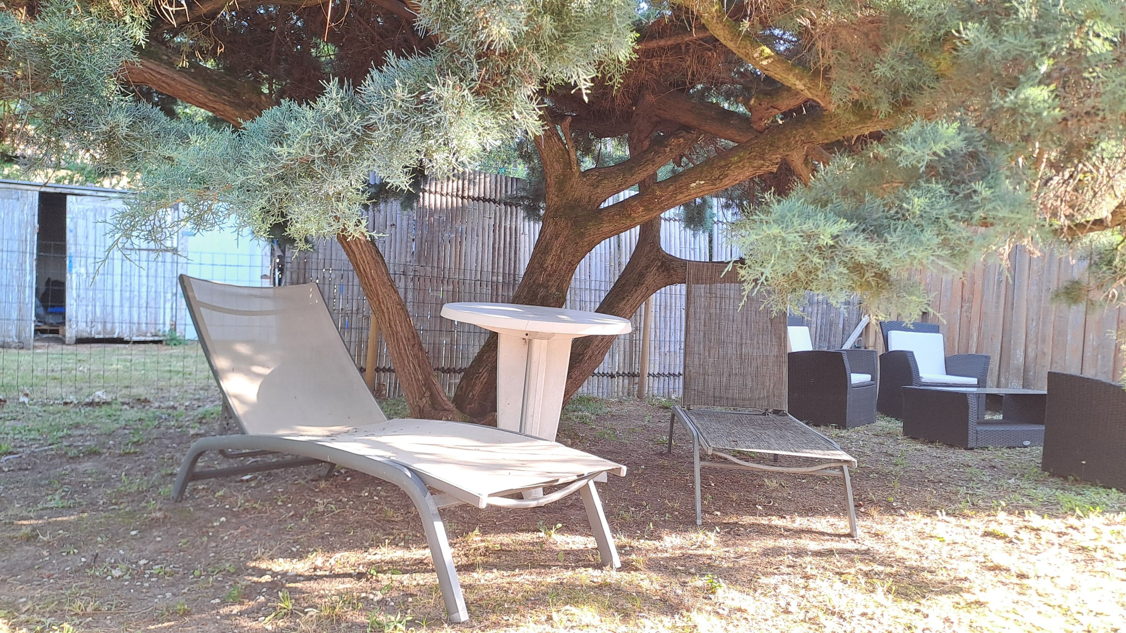 Een patio met een tafel en stoelen, een bijzettafeltje en een boom die schaduw geeft.