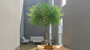 A modern interior with a potted tree, a sofa, and a coffee table.