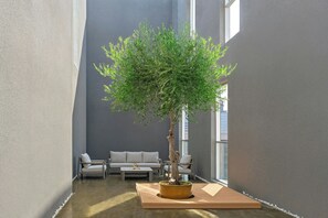 A modern interior with a potted tree, a sofa, and a coffee table. - Lifestyle Living, Al Salam Jeddah, Apartments by Marriott Bonvoy (Jeddah)