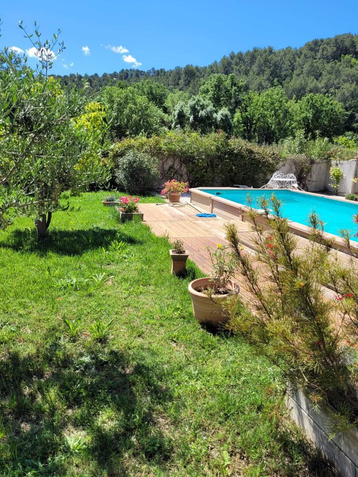 Una piscina rodeada de abundante vegetación y un cielo azul claro.