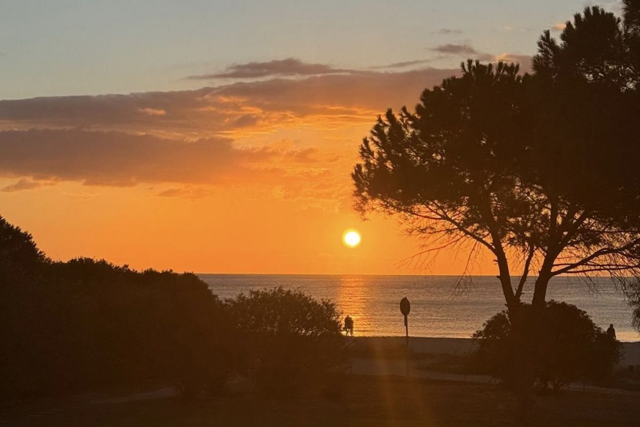 A sunset over a body of water with silhouettes of trees and a person walking.
