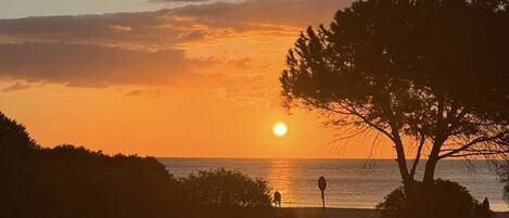 A sunset over a body of water with silhouettes of trees and a person walking.
