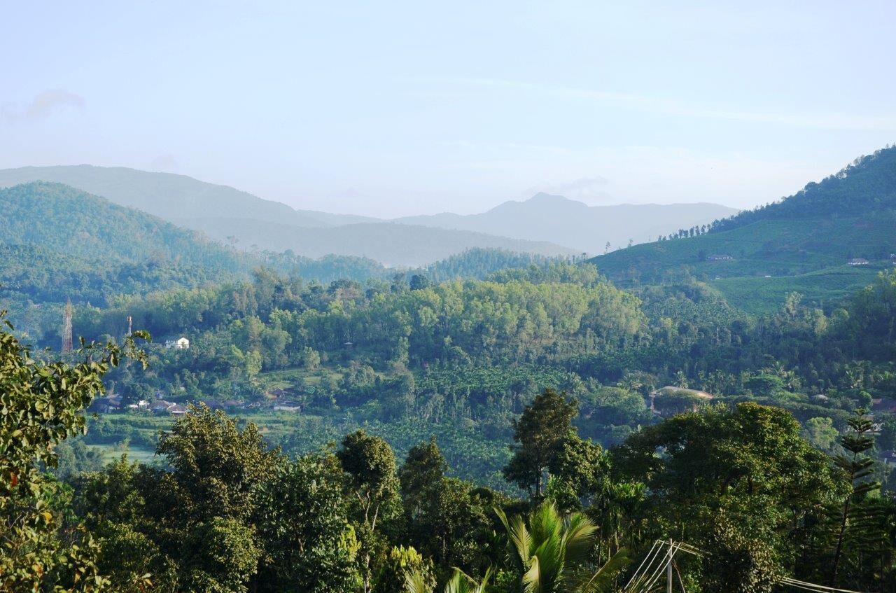 A lush green landscape with rolling hills and scattered trees.