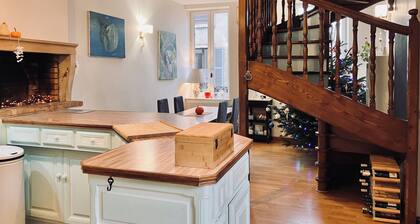 Large duplex apartment in the heart of downtown Dijon.