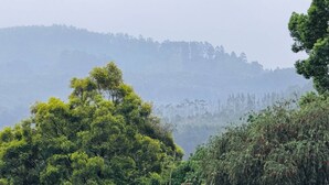 A residential area with houses, dense greenery, and a hilly backdrop. - Room-cosy & Private Cottage With Easy ac (Pietermaritzburg)