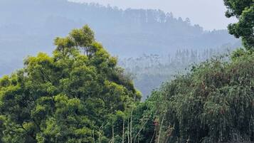 Room, 1 Bedroom, Smoking | Miscellaneous