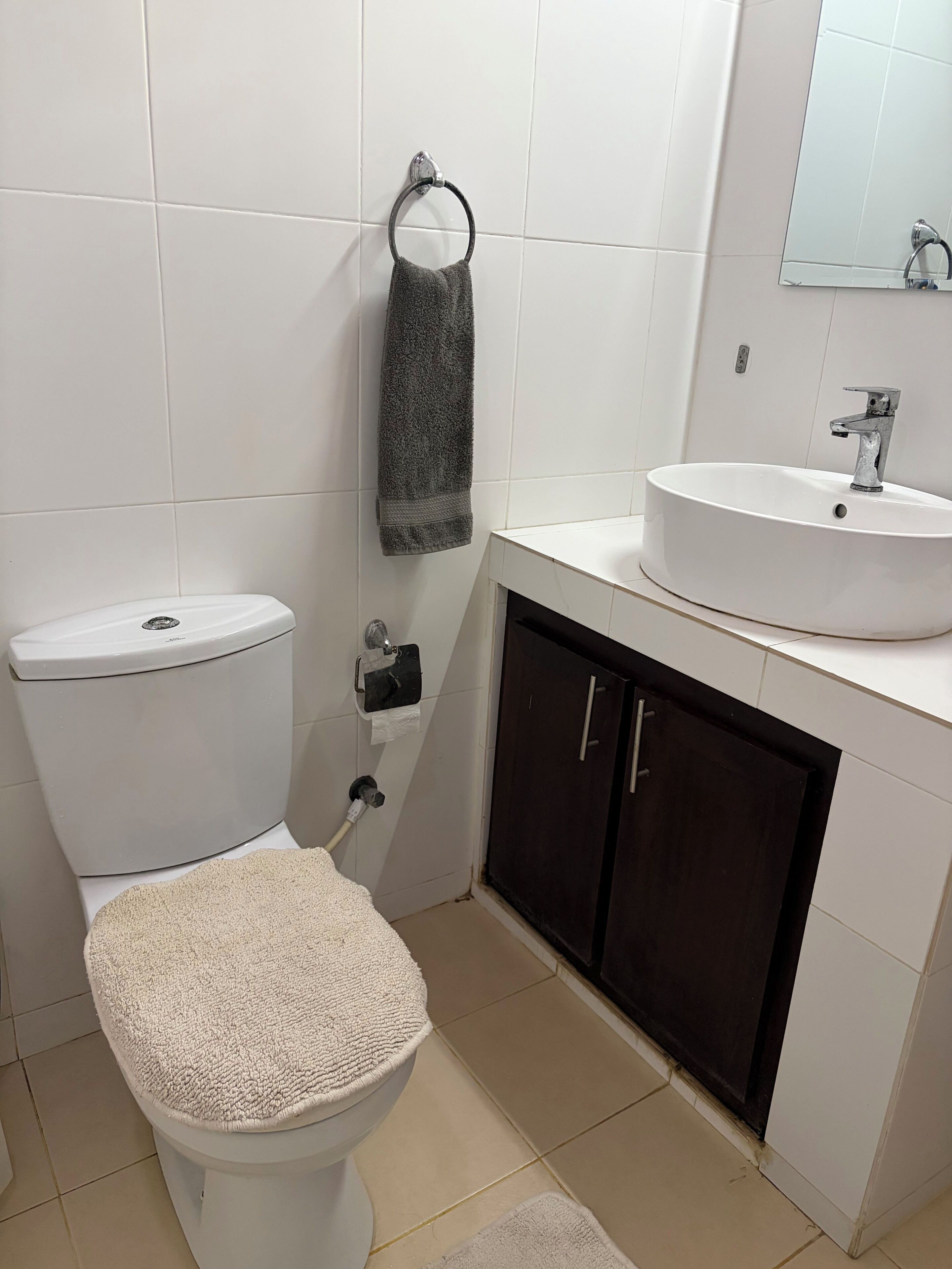 A bathroom with a toilet, sink, and dark cabinets.