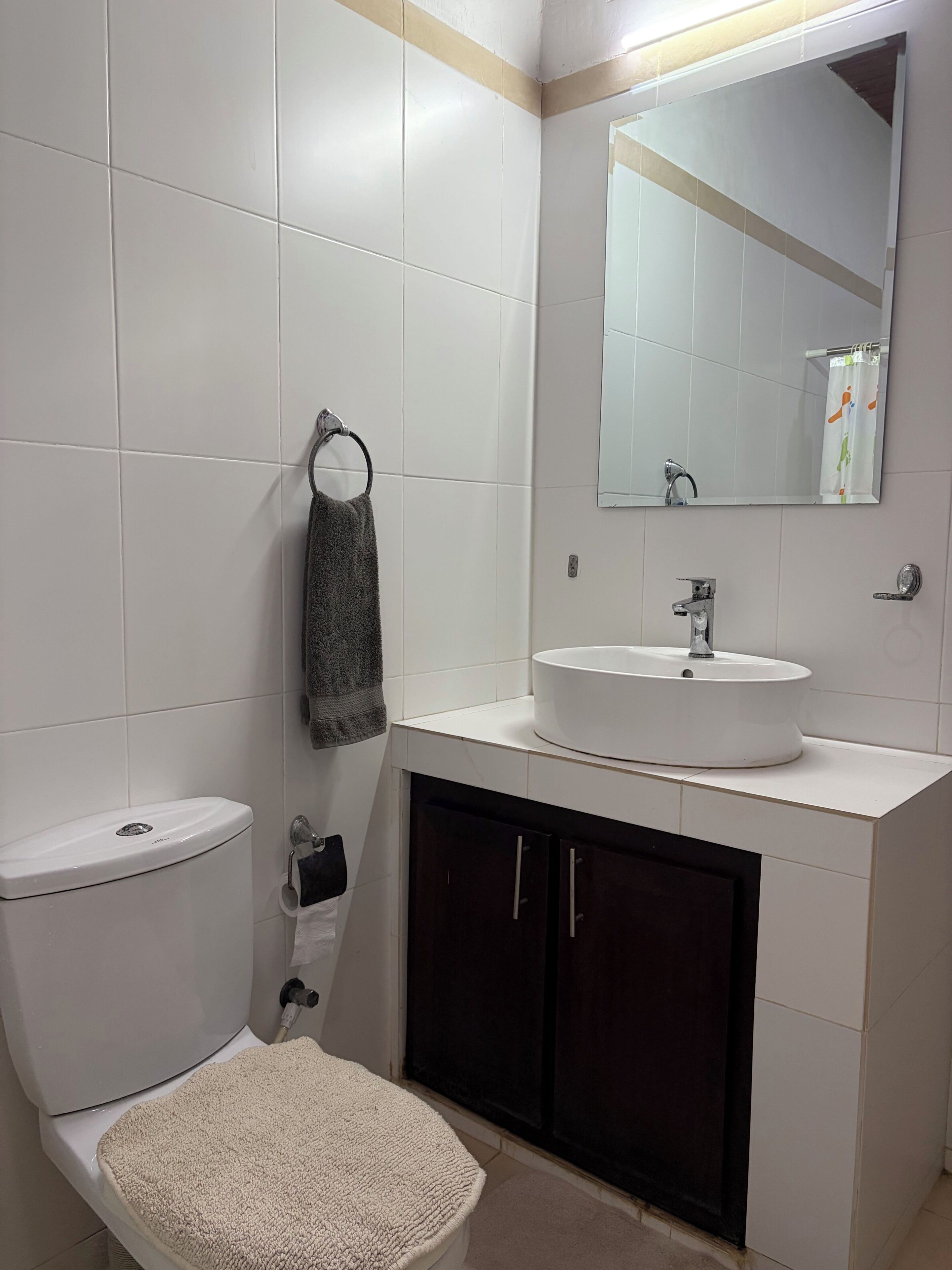 Une salle de bain équipée de toilettes, d’un lavabo, d’un miroir, d’un porte-serviettes et de meubles de rangement de couleur sombre.