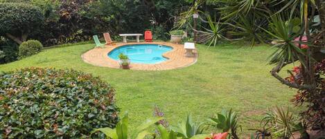 Un patio trasero con piscina, rodeado de follaje y algunos muebles de exterior.