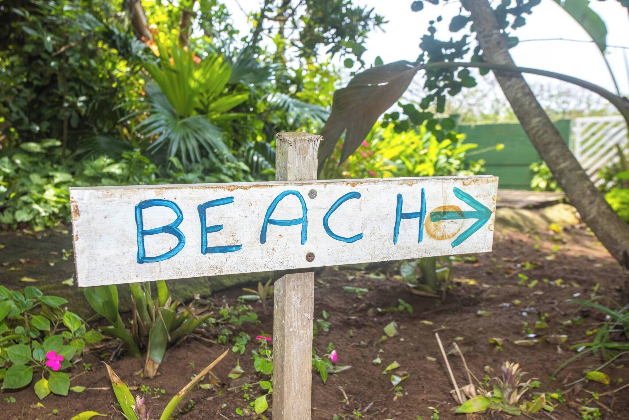 House, 1 Bedroom, Smoking | Property grounds