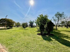 A well-maintained grassy area with trees and a clear sky. - Antelope Farm Events (Akasia)
