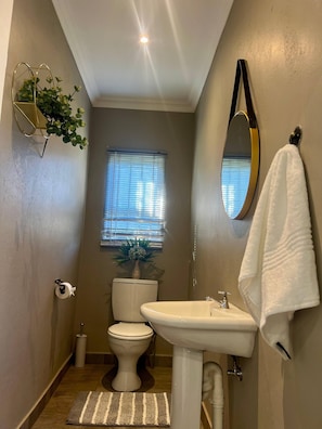 A bathroom with a toilet, sink, mirror, towel rack, and a small potted plant.