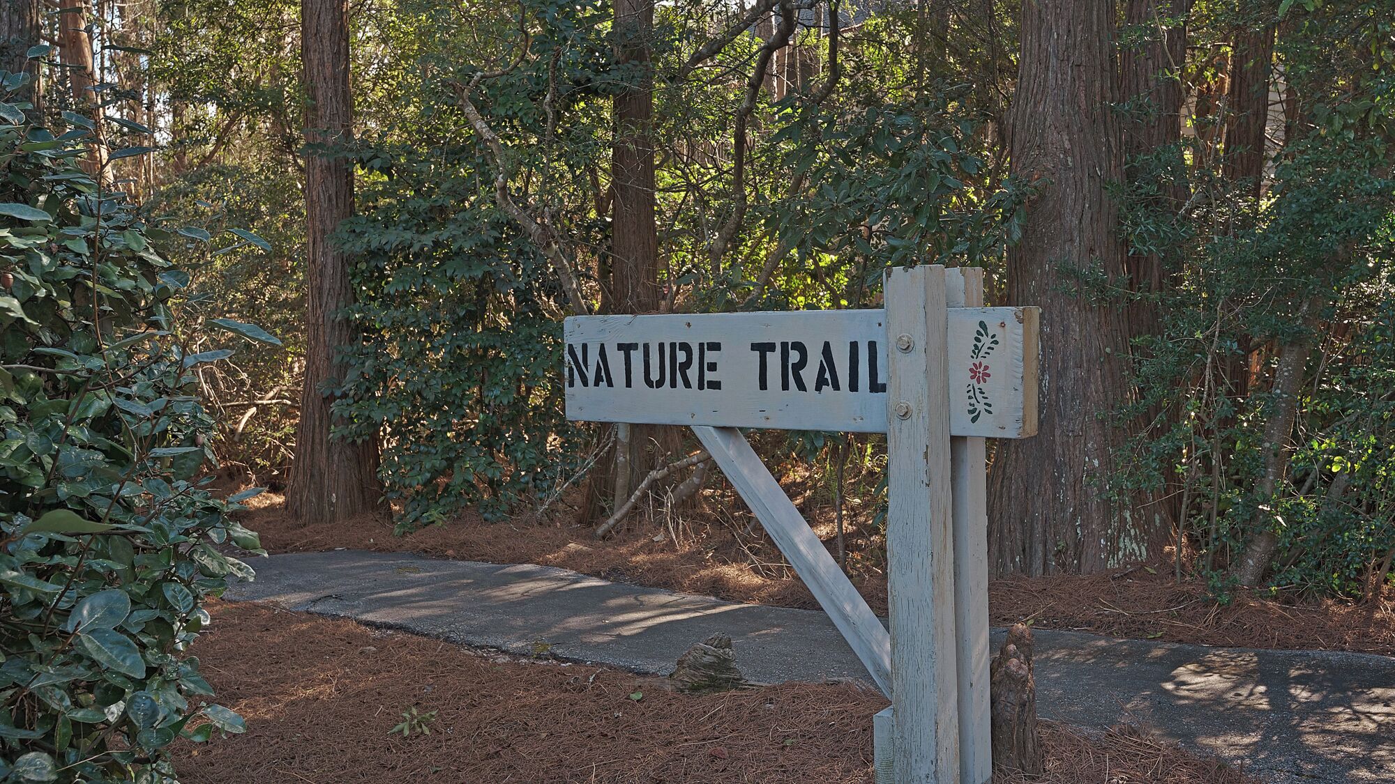 A nature trail sign in a wooded area.
