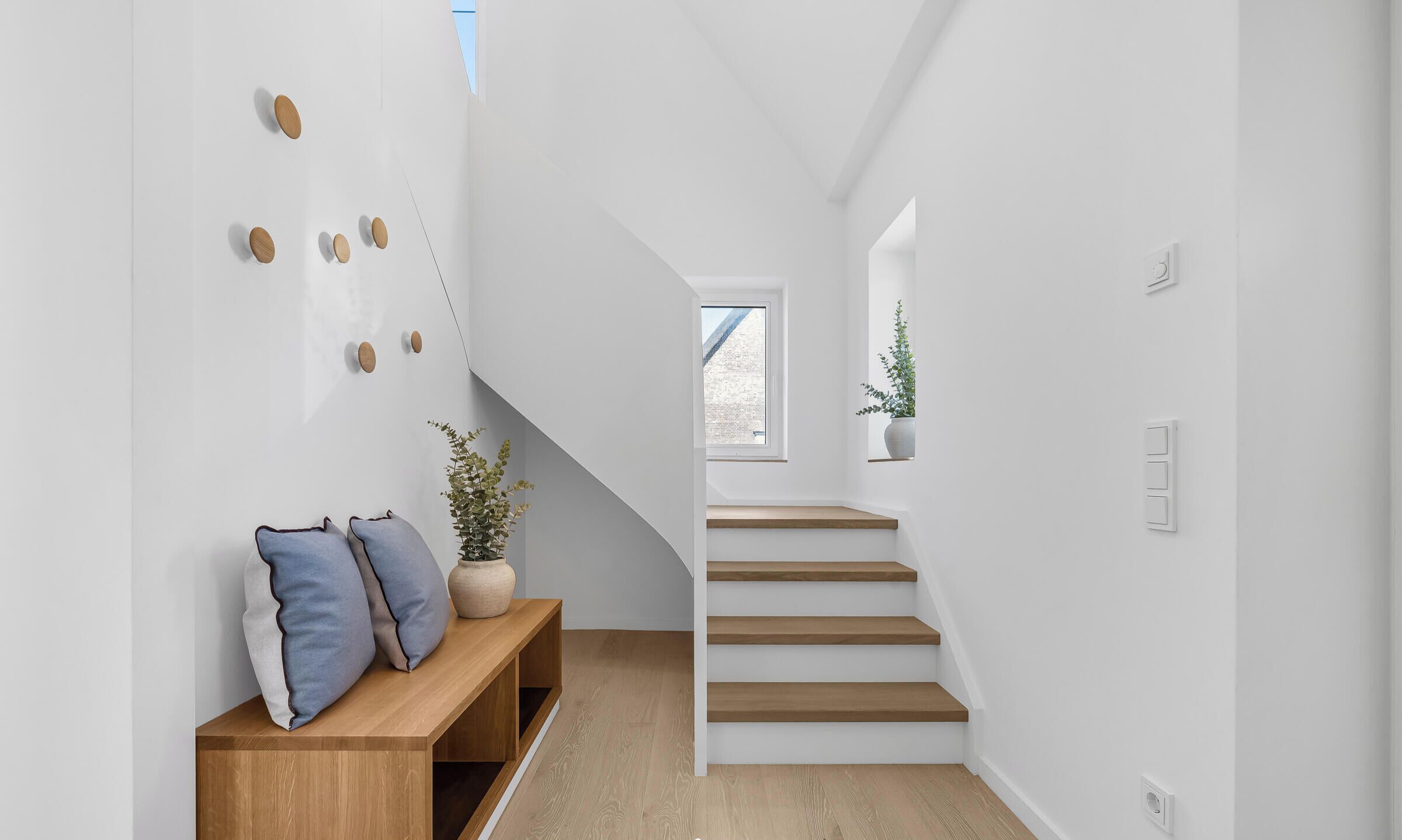 A modern interior with a wooden bench, a staircase, and a potted plant.