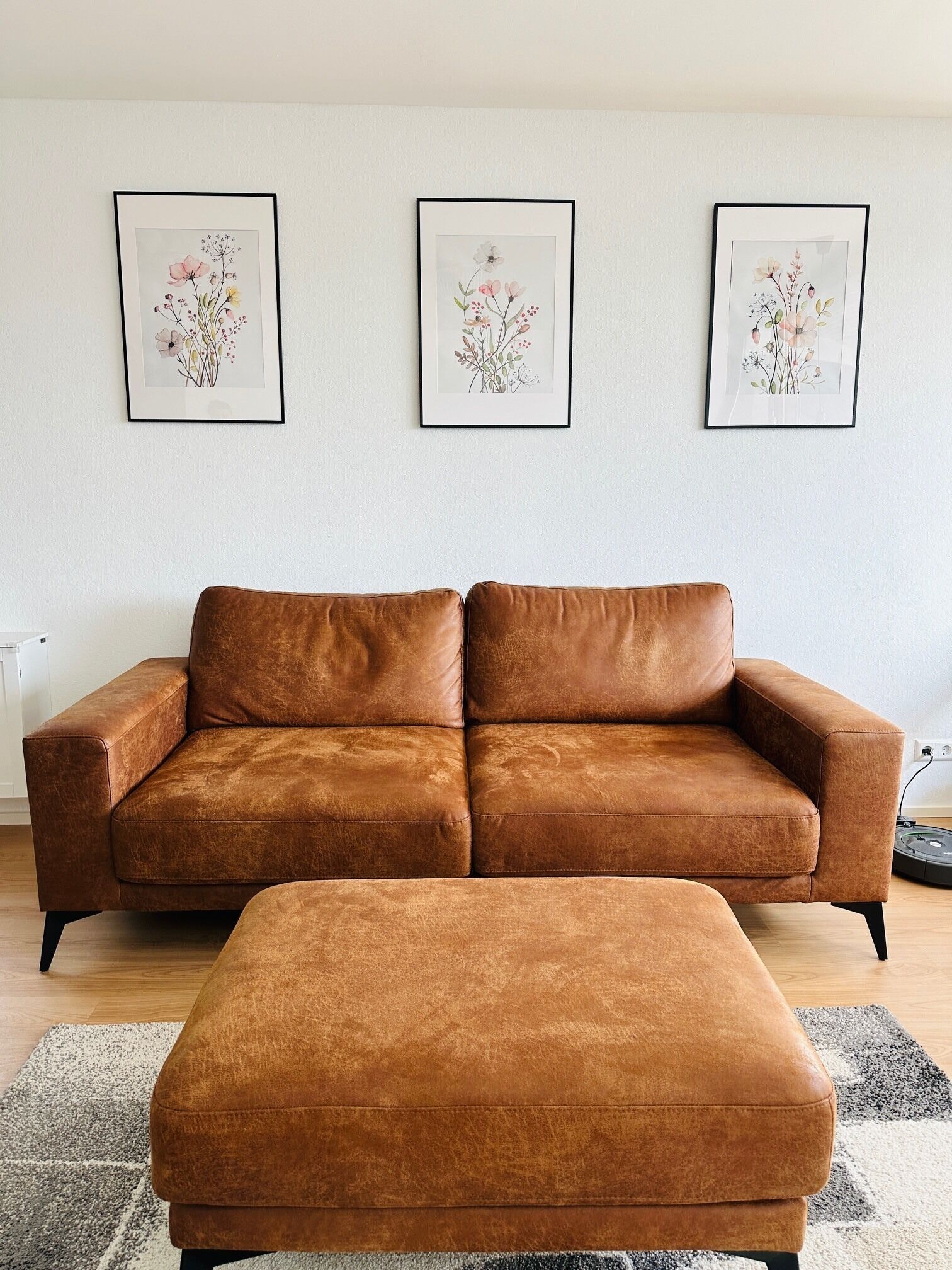 TV, books, video library