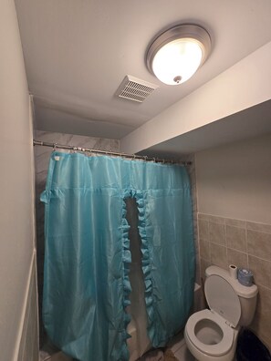 Bathroom - Serene 2-bedroom apartment , 2 king beds, 1 bath in  
Newark (Newark)