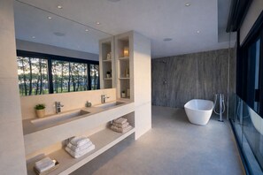 Shower, hair dryer, bidet, towels