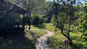 Ein gepflasterter Weg in einem Garten mit Bäumen und blauem Himmel.