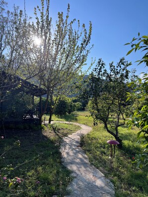 Front of property - Argos Çıralı (Antalya)