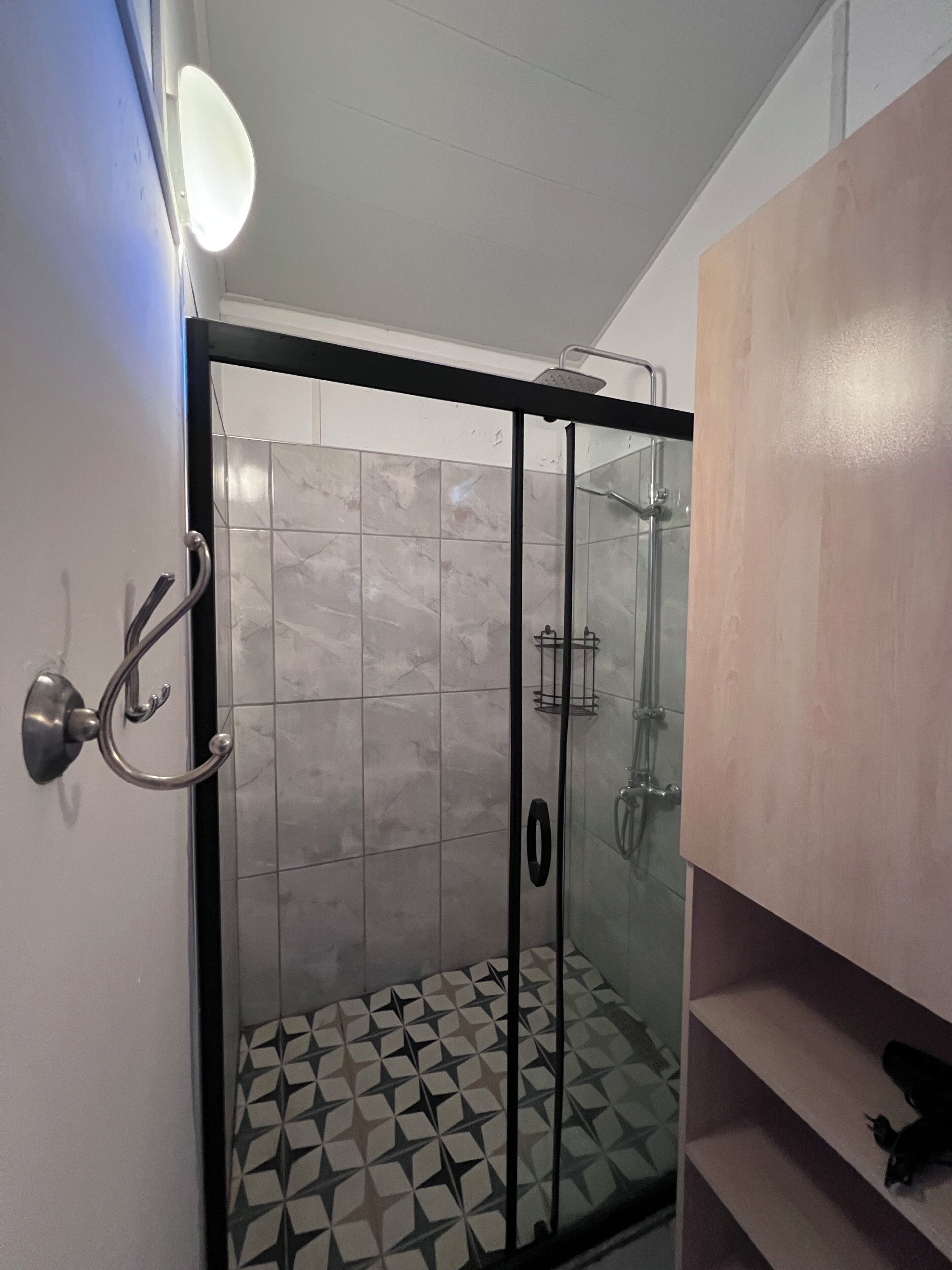 A shower with a glass door, a tiled floor, and a metal towel rack.