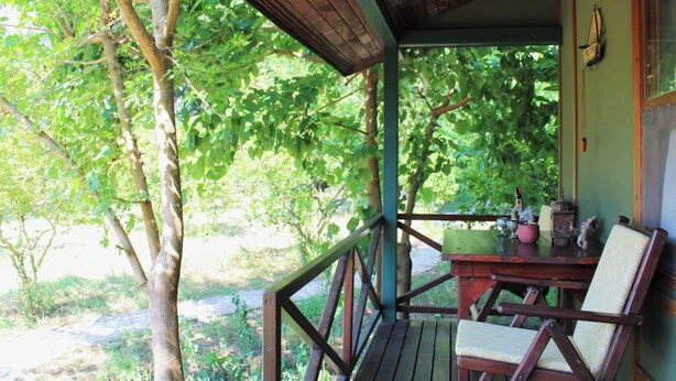 Eine Holzterrasse mit Tisch und Stühlen, umgeben von üppigem Grün und Laub.