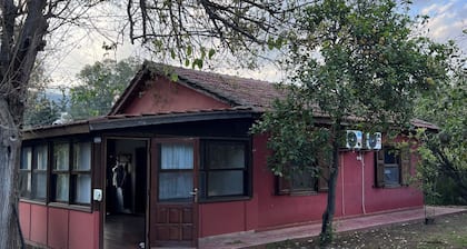 Argos Çıralı