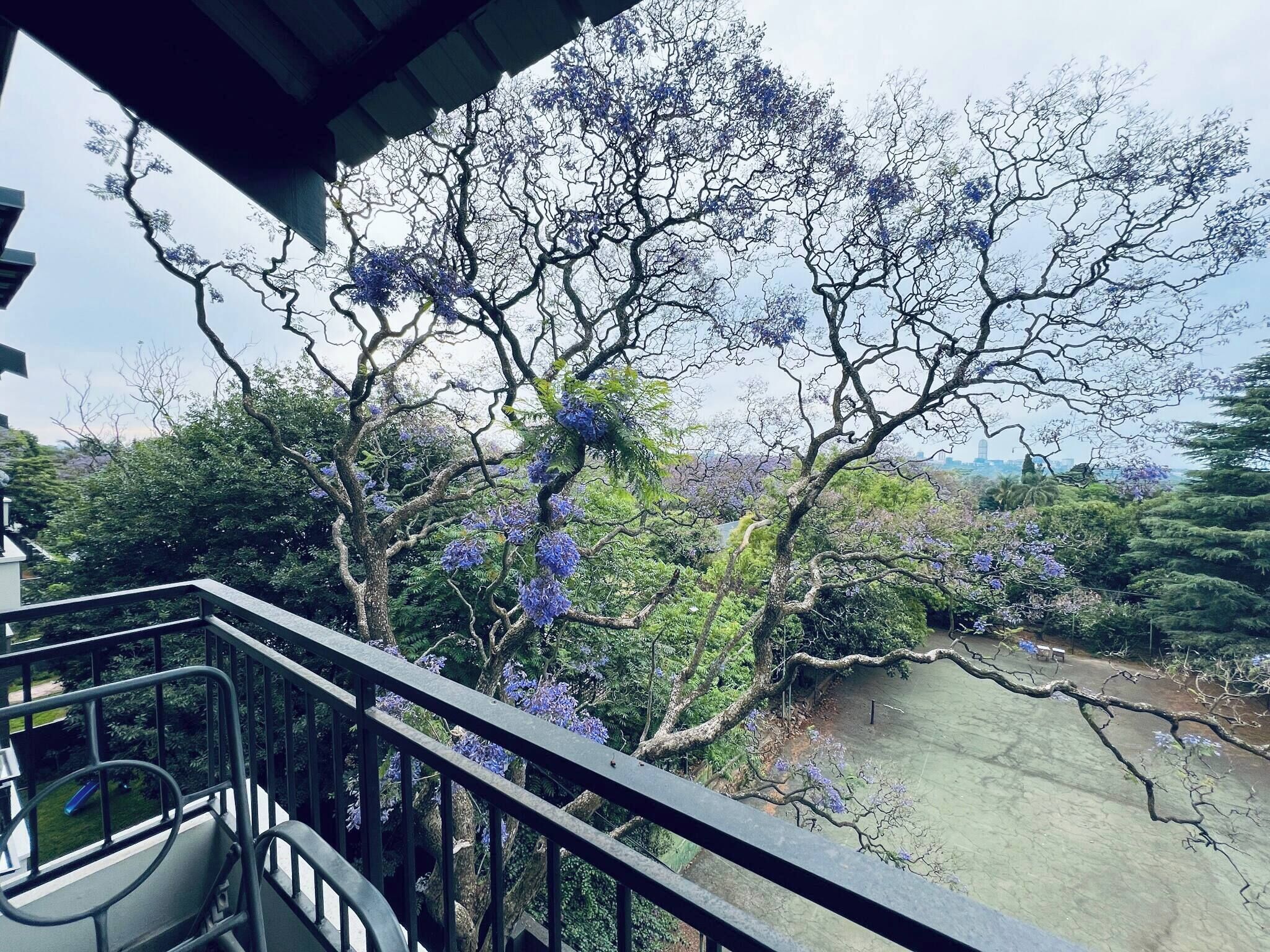 Apart Daire, 1 Yatak Odası, Balkon | Balkon