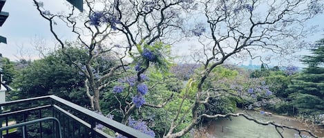 公寓, 1 間臥室, 露台 | 陽台