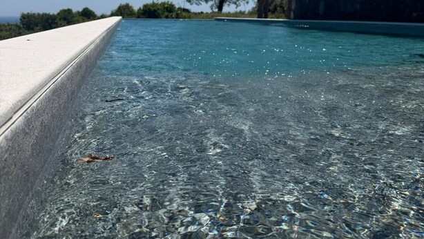 A clear pool with a concrete edge, surrounded by palm trees and a stone wall. - Flora Sicula - Cultivating Hospitality (Giarre)