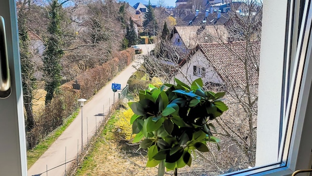Et vindue med udsigt over en by, en kirketårn og en potteplante i vindueskarmen.